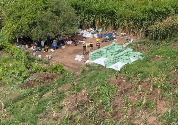 PF apreende 2 toneladas de maconha perto da divisa com Pernambuco e Alagoas