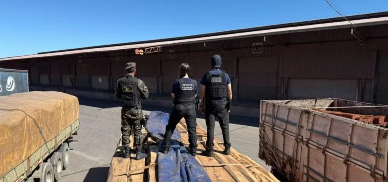Apreensão de cocaína líquida em carga de madeira pode ser a maior da história do Brasil